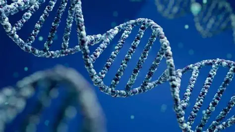 DNA