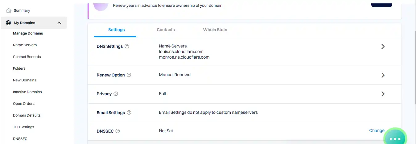 DNS-Settings
